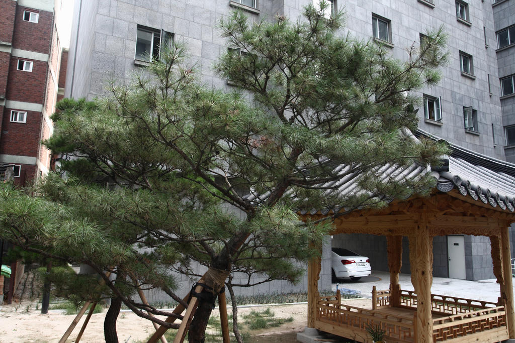 Fortune Hostel Jongno Seoul Eksteriør bilde